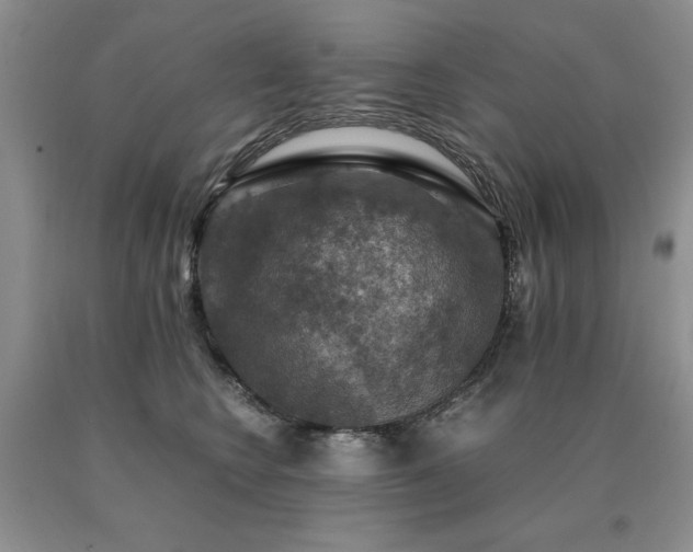 X0000091060566200708061244