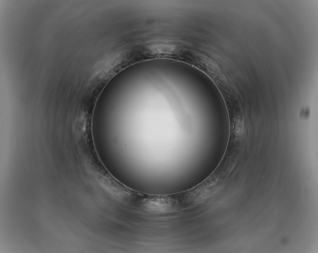 X0000091060567200708061244