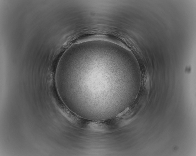 X0000091060568200708061244