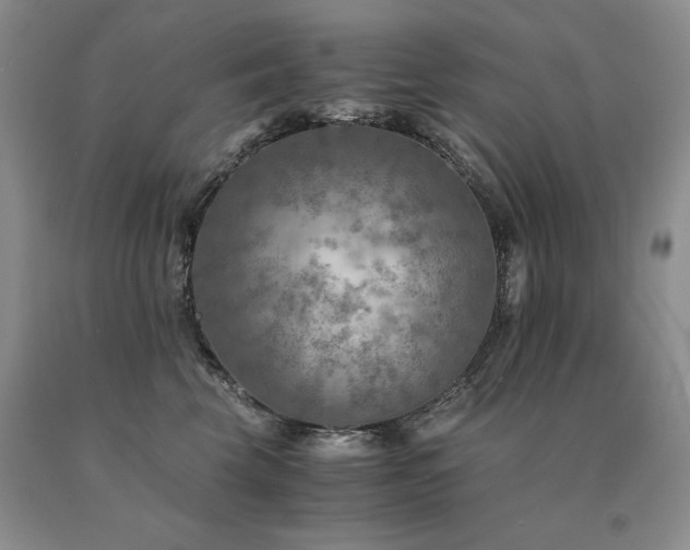 X0000091060569200708061244
