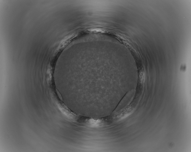 X0000091060570200708061244