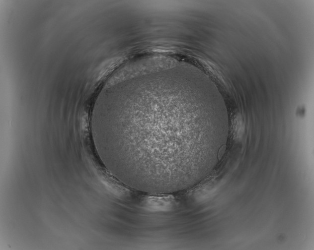 X0000091060571200708061244