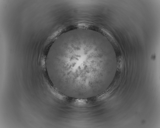 X0000091060573200708061244
