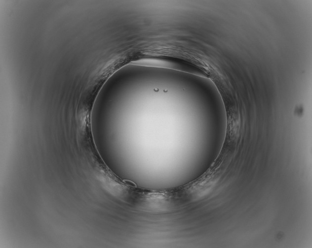 X0000091060574200708061244