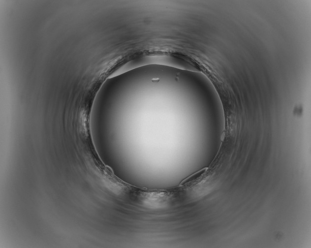 X0000091060575200708061244