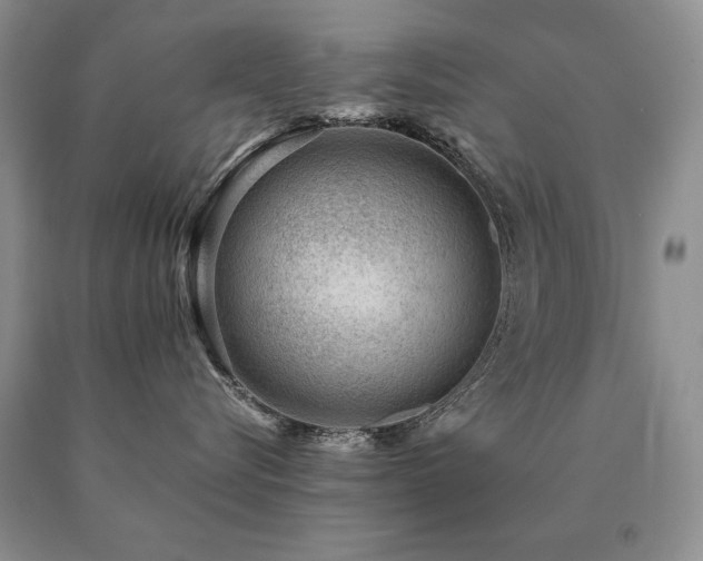 X0000091060576200708061244