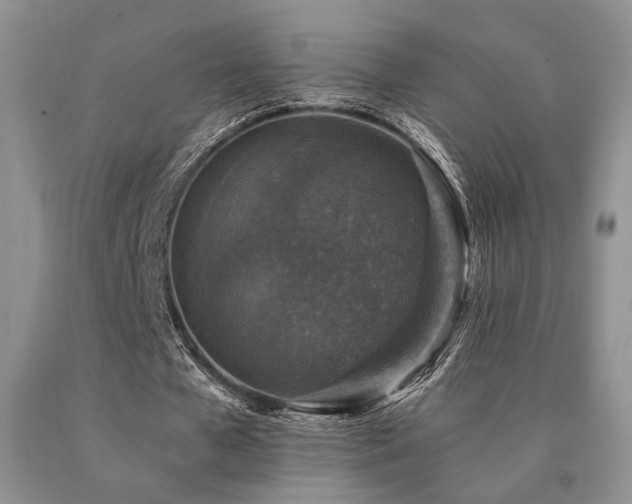 X0000091060577200708061244