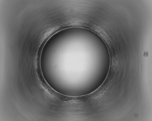 X0000091060578200708061244