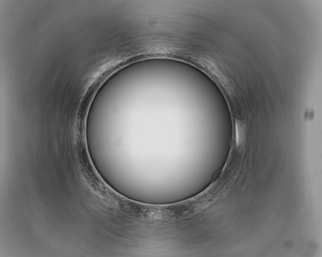 X0000091060579200708061244