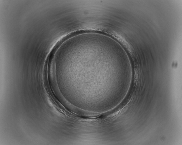 X0000091060580200708061244
