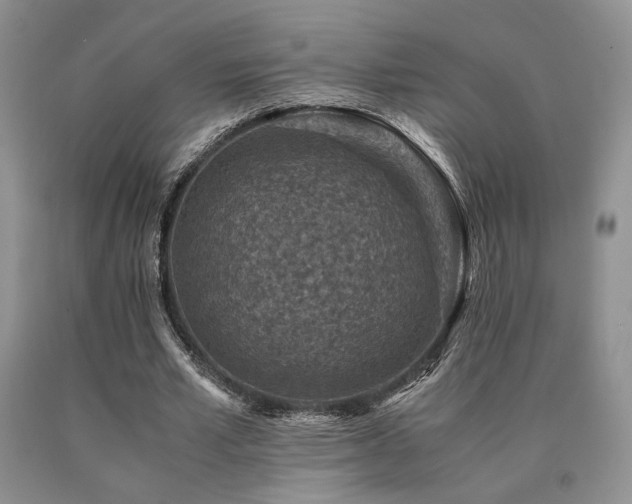 X0000091060581200708061244