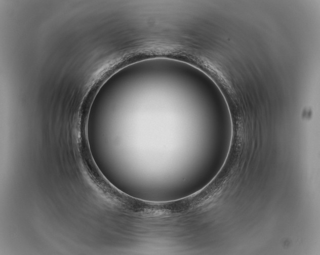X0000091060582200708061244