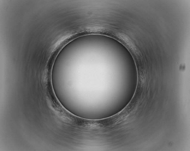 X0000091060583200708061244