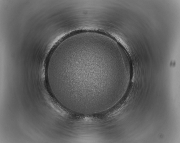 X0000091060584200708061244