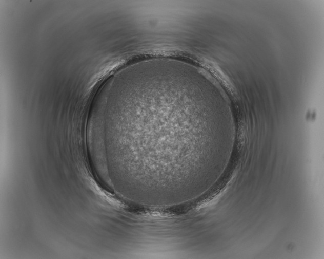 X0000091060585200708061244