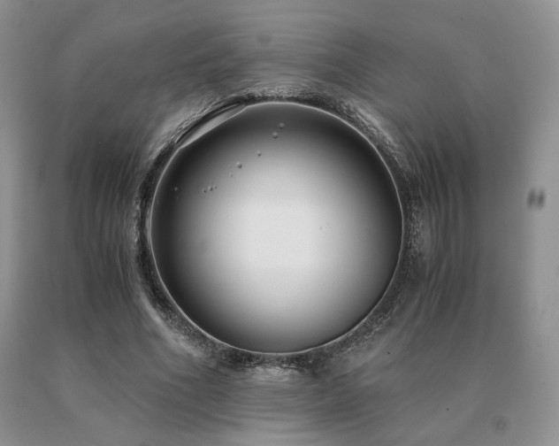 X0000091060586200708061244