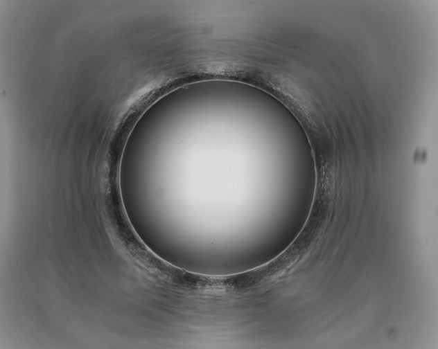 X0000091060587200708061244