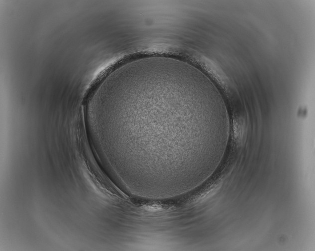 X0000091060588200708061244