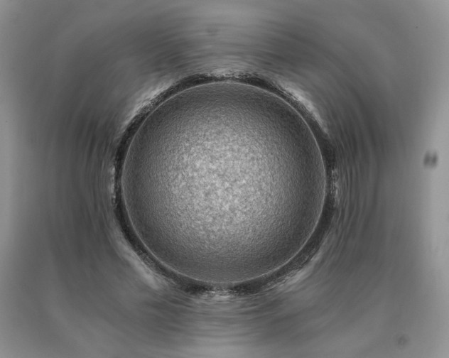 X0000091060589200708061243