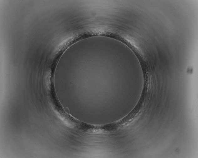 X0000091060590200708061243