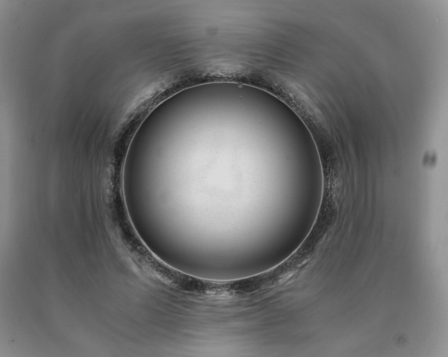 X0000091060591200708061243