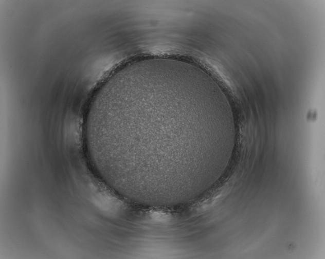 X0000091060592200708061243