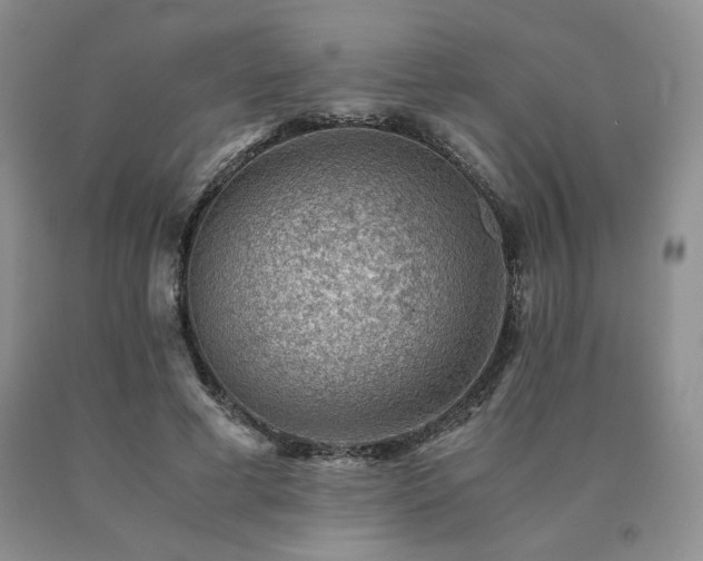 X0000091060593200708061243