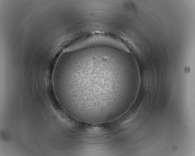X0000091060594200708061243