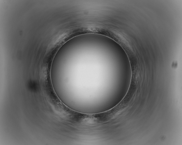 X0000091060595200708061243