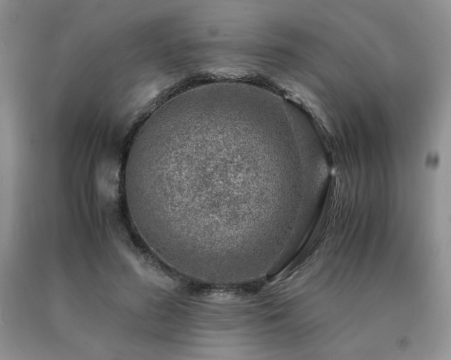 X0000091060596200708061243