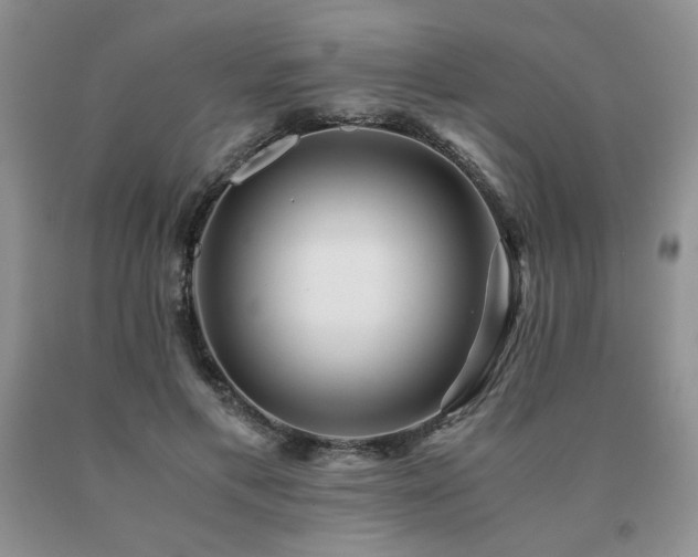 X0000091060597200708061243