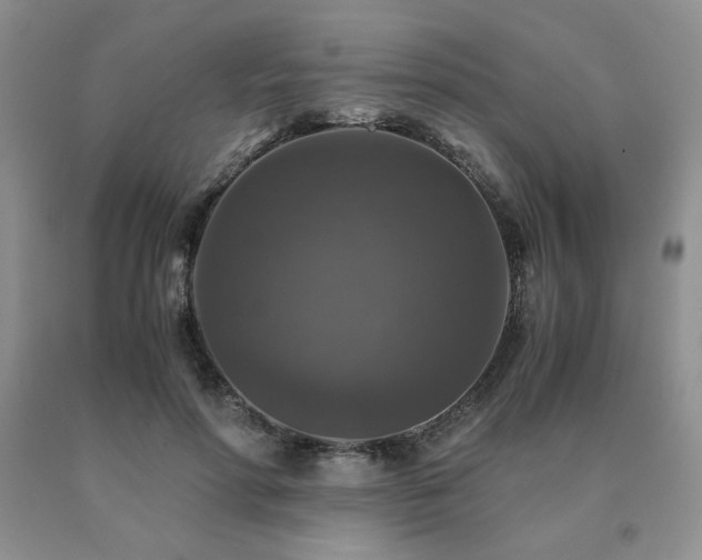 X0000091060598200708061243