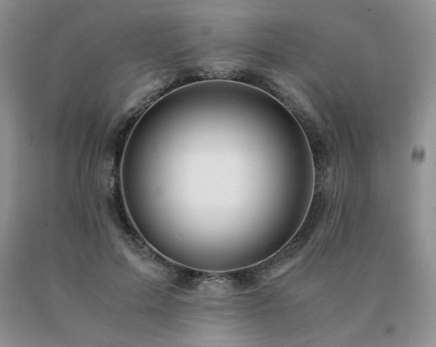 X0000091060599200708061243