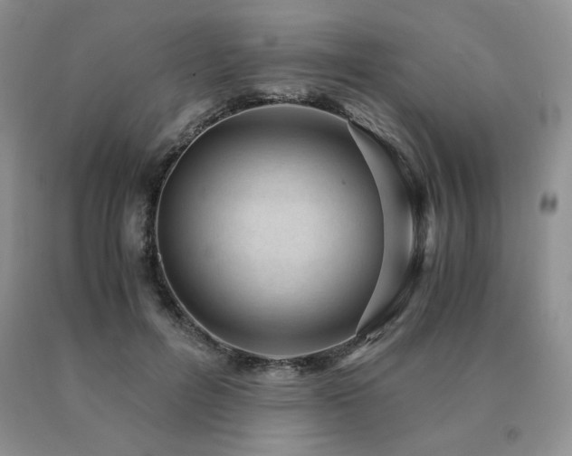 X0000091060600200708061243