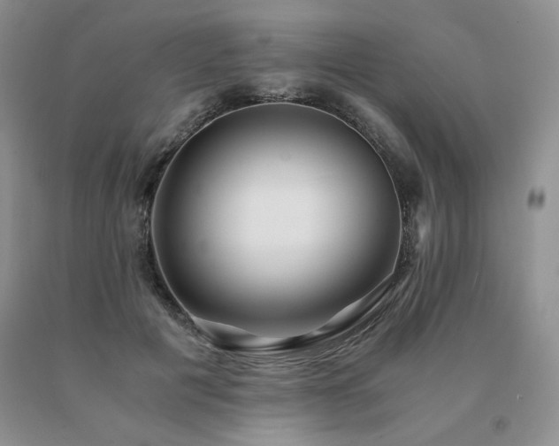 X0000091060601200708061243