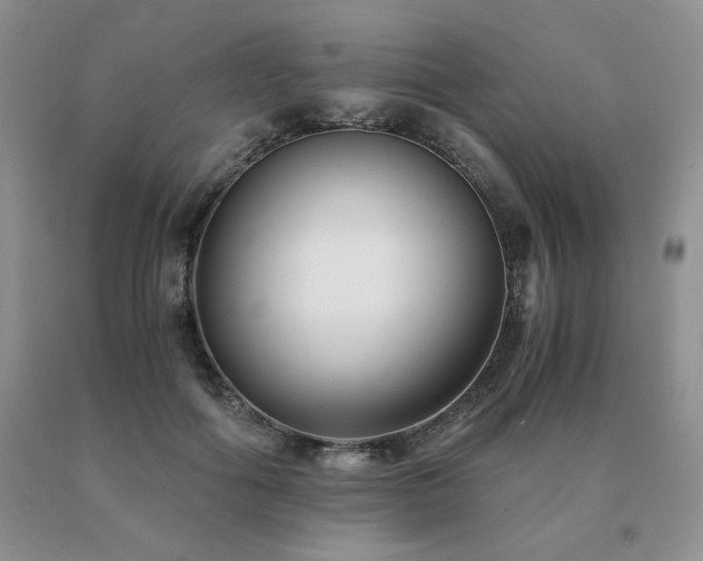 X0000091060602200708061243
