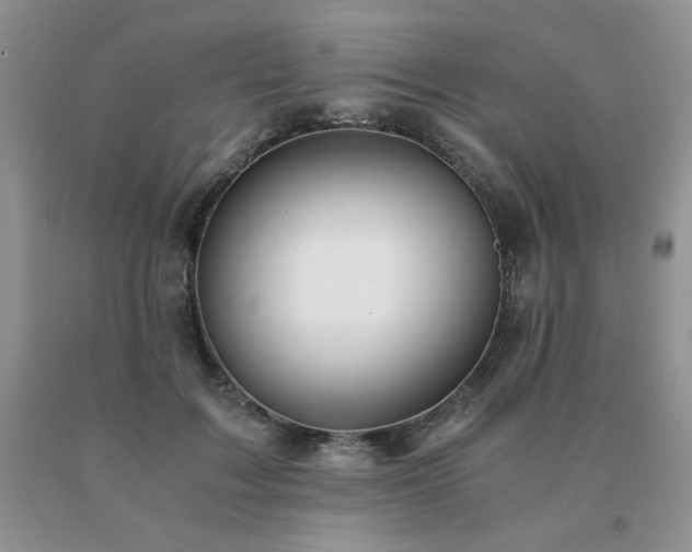 X0000091060603200708061243