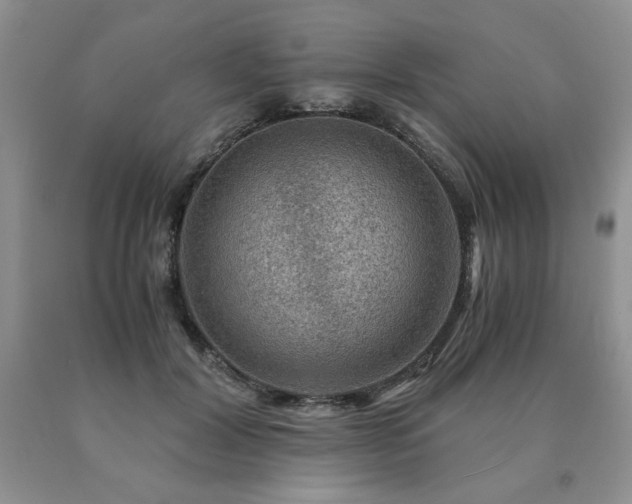 X0000091060604200708061243