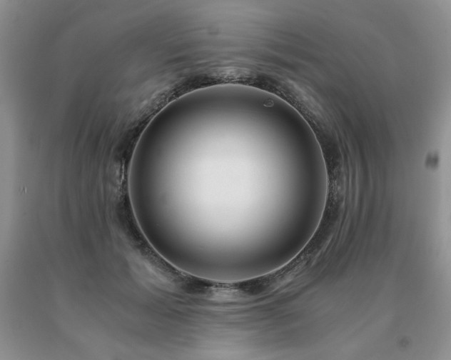X0000091060605200708061243