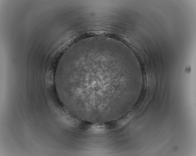 X0000091060606200708061243