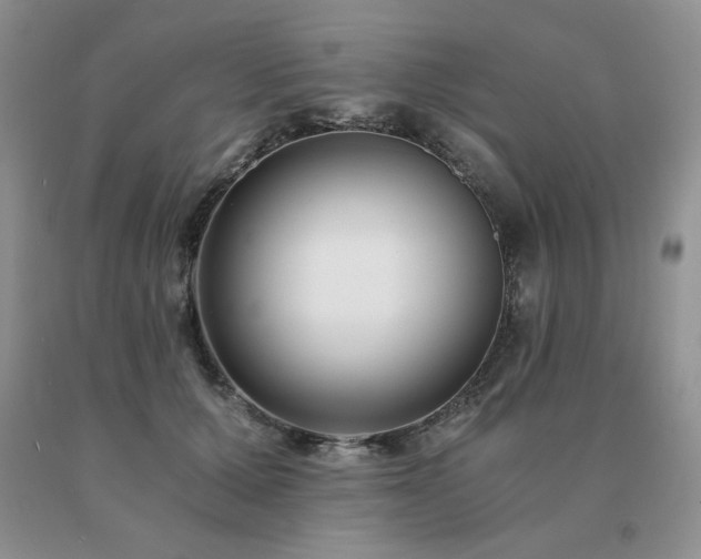 X0000091060607200708061243