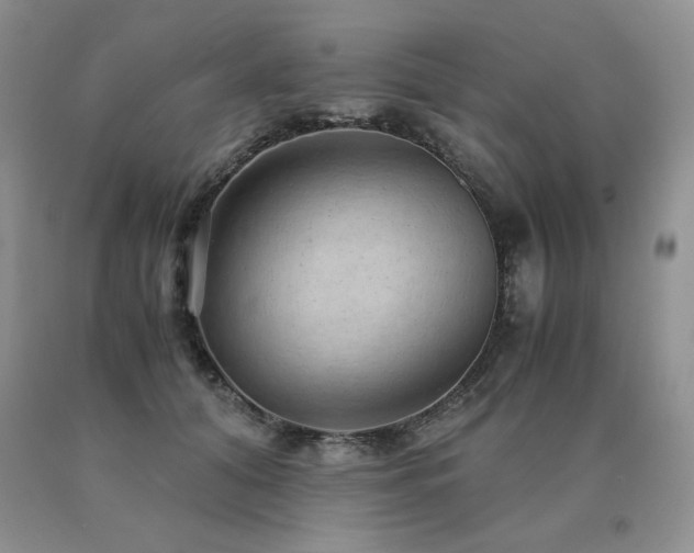 X0000091060608200708061243