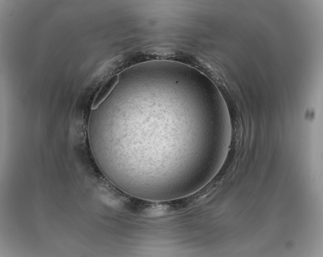 X0000091060609200708061243