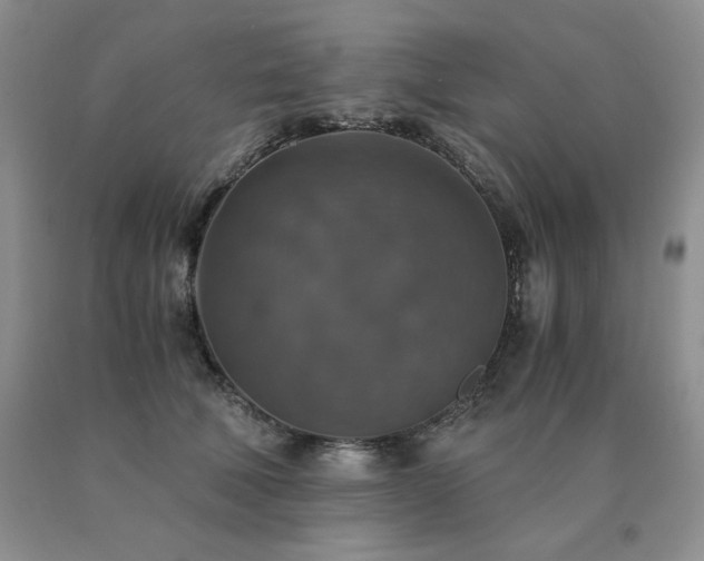 X0000091060610200708061243