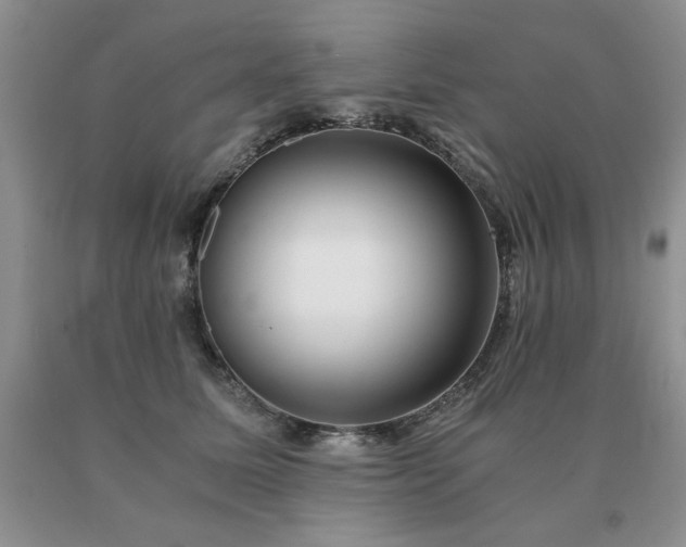 X0000091060611200708061243