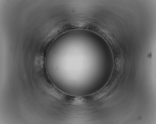 X0000091060612200708061243