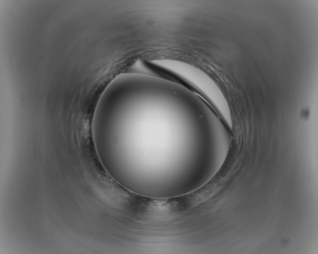 X0000091060613200708061243