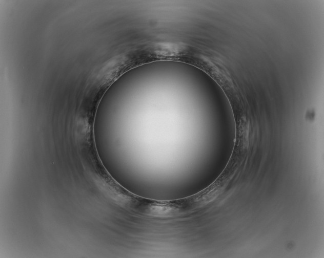 X0000091060614200708061243