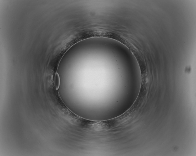 X0000091060615200708061243