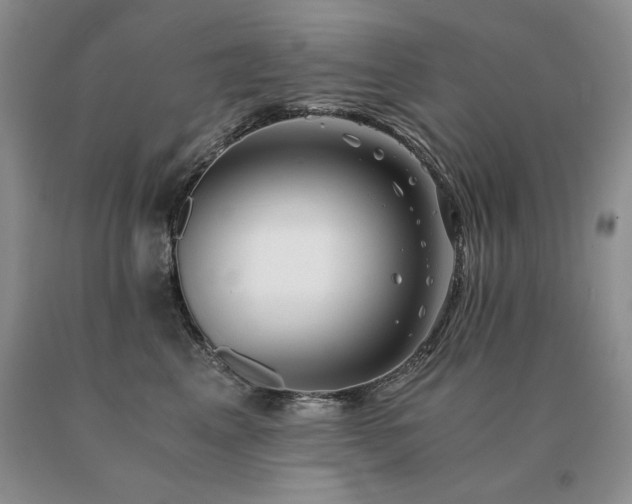 X0000091060617200708061243
